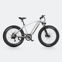 Ranger Fat Tire Electric Bike