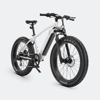 Ranger Fat Tire Electric Bike