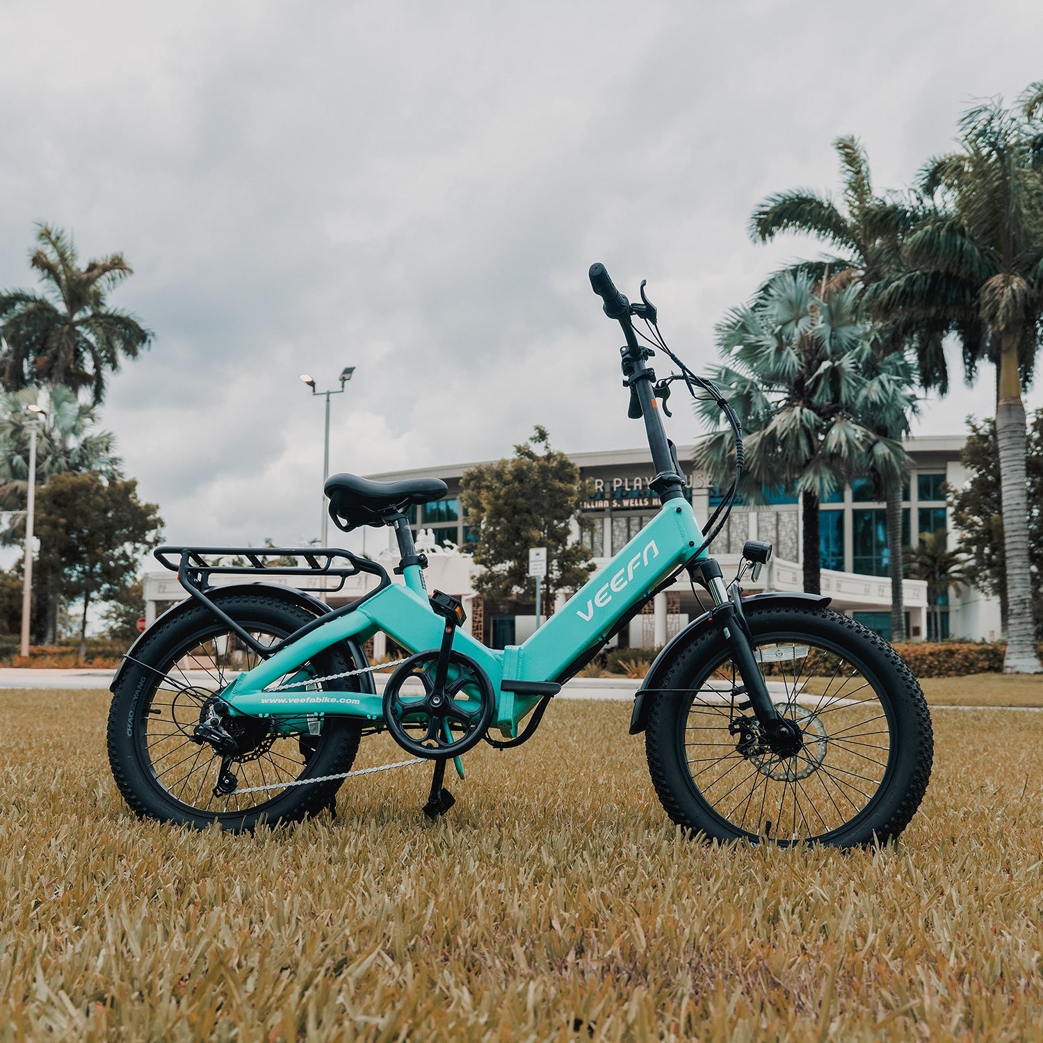 Veefa Electric Bicycles F1 Folding Electric Bike#color_blue