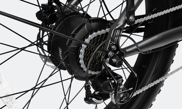1000W Peak Motor Veefa L1 Fat Tire Step-Thru Adult Electric Bicycle
