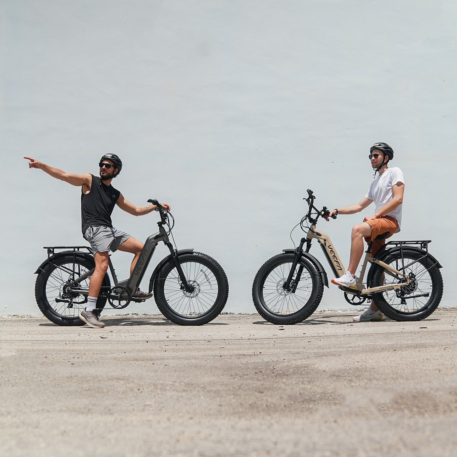 Veefa Electric Bicycles L1 Step-Thru Fat Tire Electric Bike